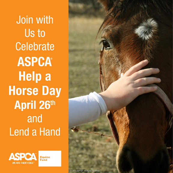 Equine Rescues in 32 States Hosted Events to Commemorate ASPCA Help a