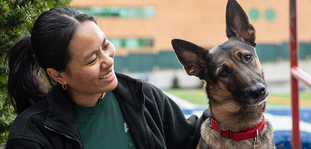 A german shepherd with their head tilted next to a woman