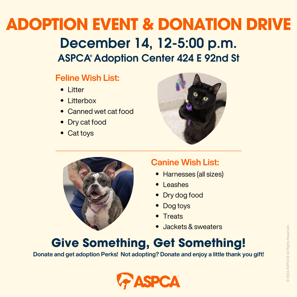 This Weekend, “Give Something, Get Something” at the ASPCA Adoption ...