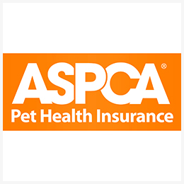 healthy pets insurance