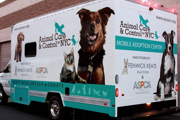 Animal Care Control Of Nyc Unveils First Mobile Adoption Center Made Possible By The Aspca And Fenwick Keats Real Estate Aspca