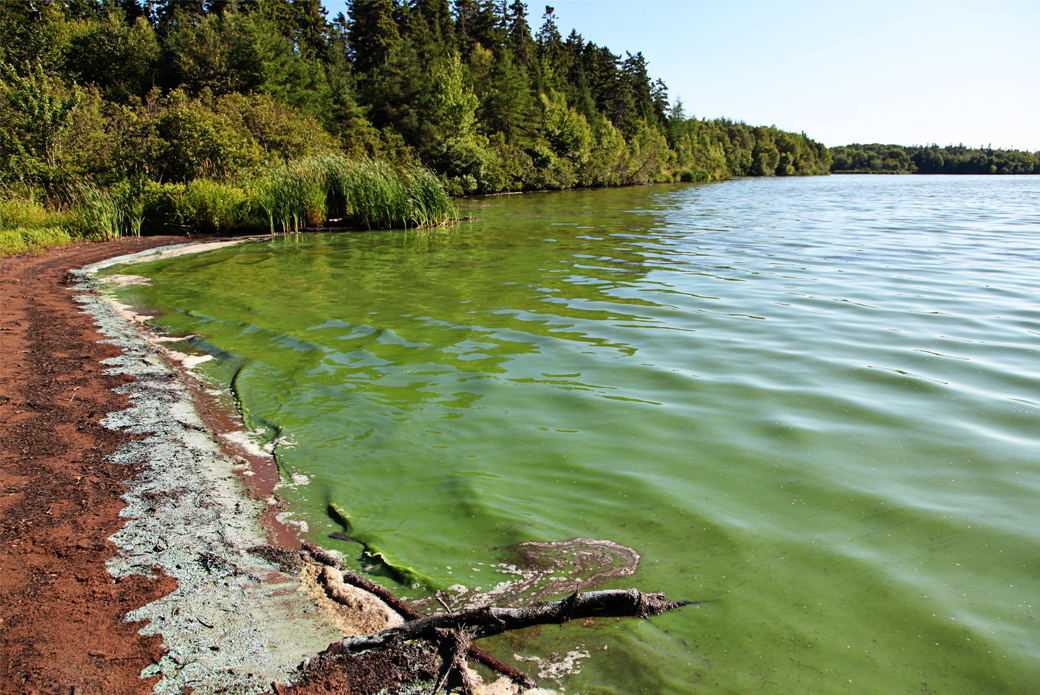 Green Lakes