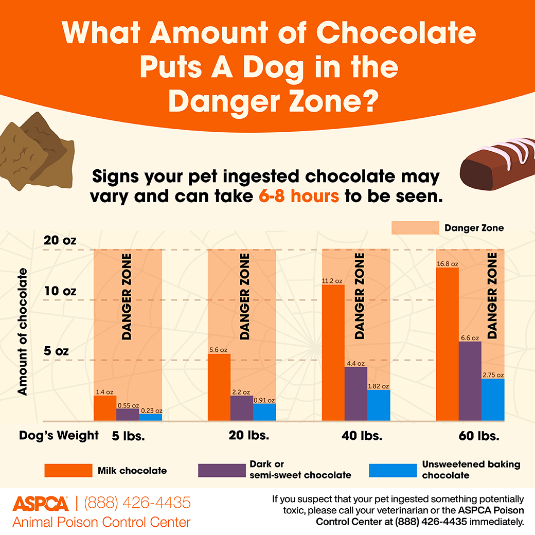 Candy safety infographic