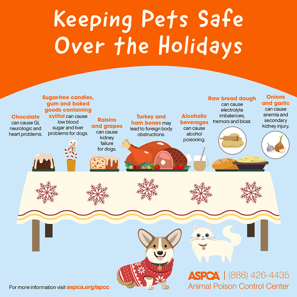 APCC Holiday food safety infographic