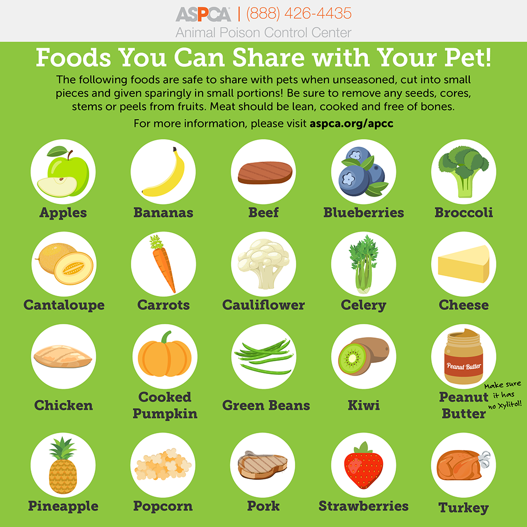 Sharing Is Caring Foods You Can Safely Share With Your Pet Aspca