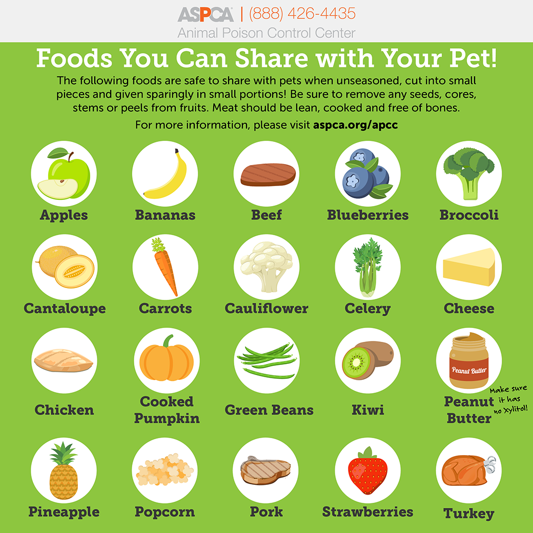 Printable Dog Safe Food Chart