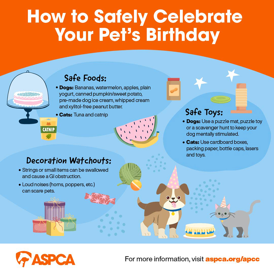 Pet birthday safety infographic