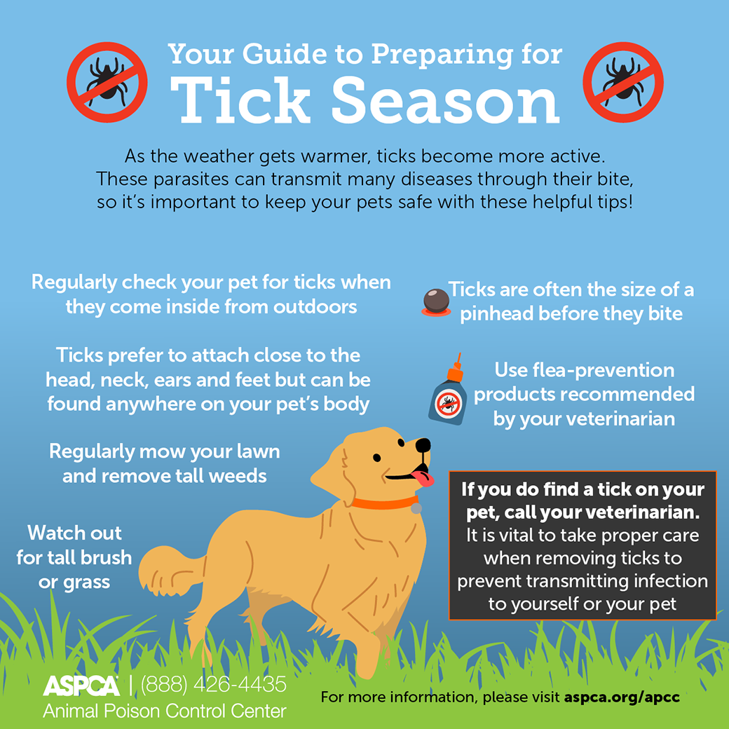 Your Guide to Preparing for Flea and Tick Season My Medicine Tale
