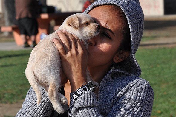 ASPCA Hosts First Free Clinic in South L.A.