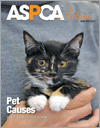 ASPCA Action | ASPCA