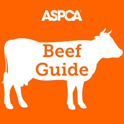 beef label guide