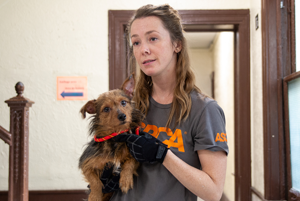 ASPCA responder holding a rescued dog