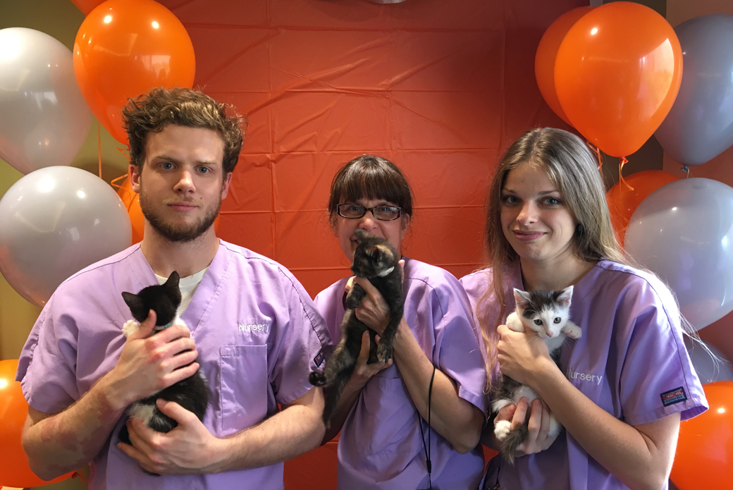 Nursery caregivers Dylan Bennett, Stacy Horn and Yeva Usatova pose with Frodo and his best friends, York and Gorgeous.