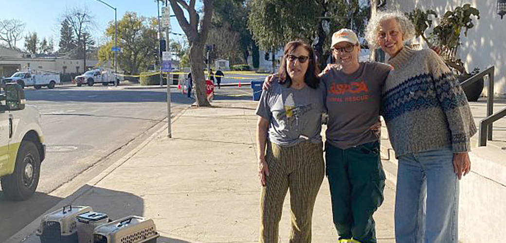 The ASPCA’s Jenn Cherry, center, with Georgia, left, and Louise.