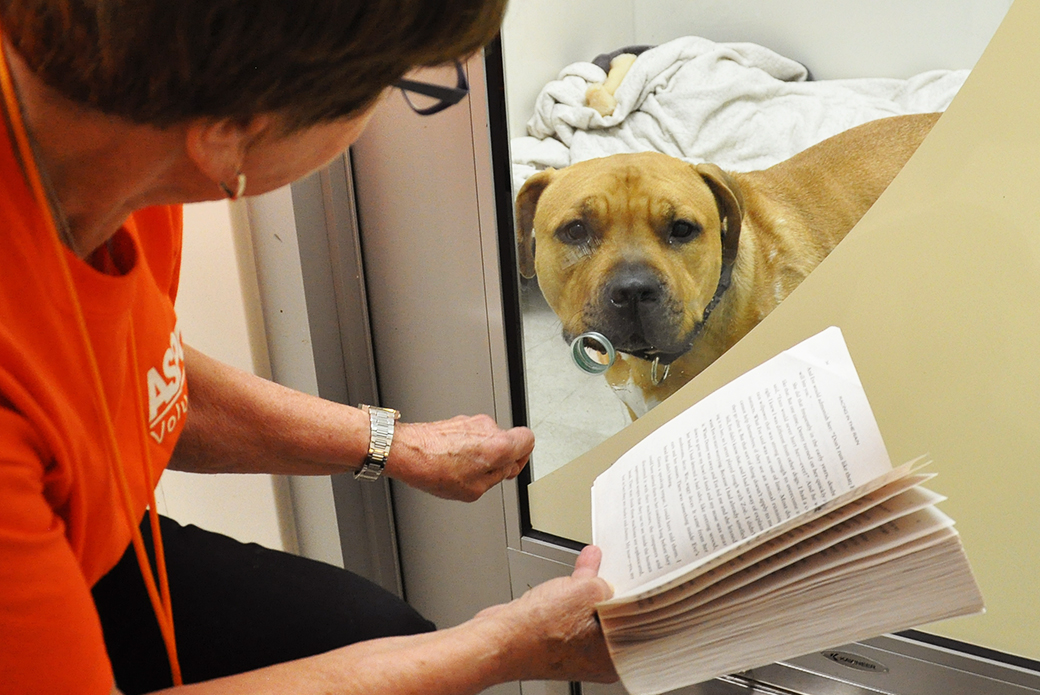 ASPCA Storytelling Program Helps Traumatized Dogs Heal | ASPCA