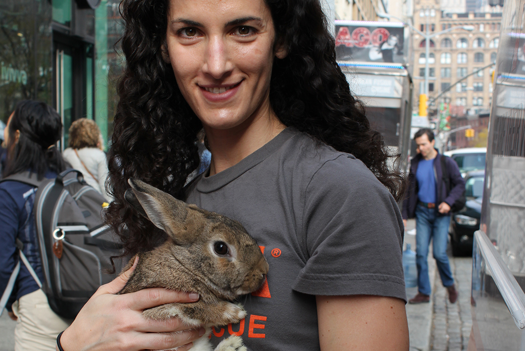 Exciting News 48 Bunnies Found Homes At Our Nyc Adoption Event Aspca