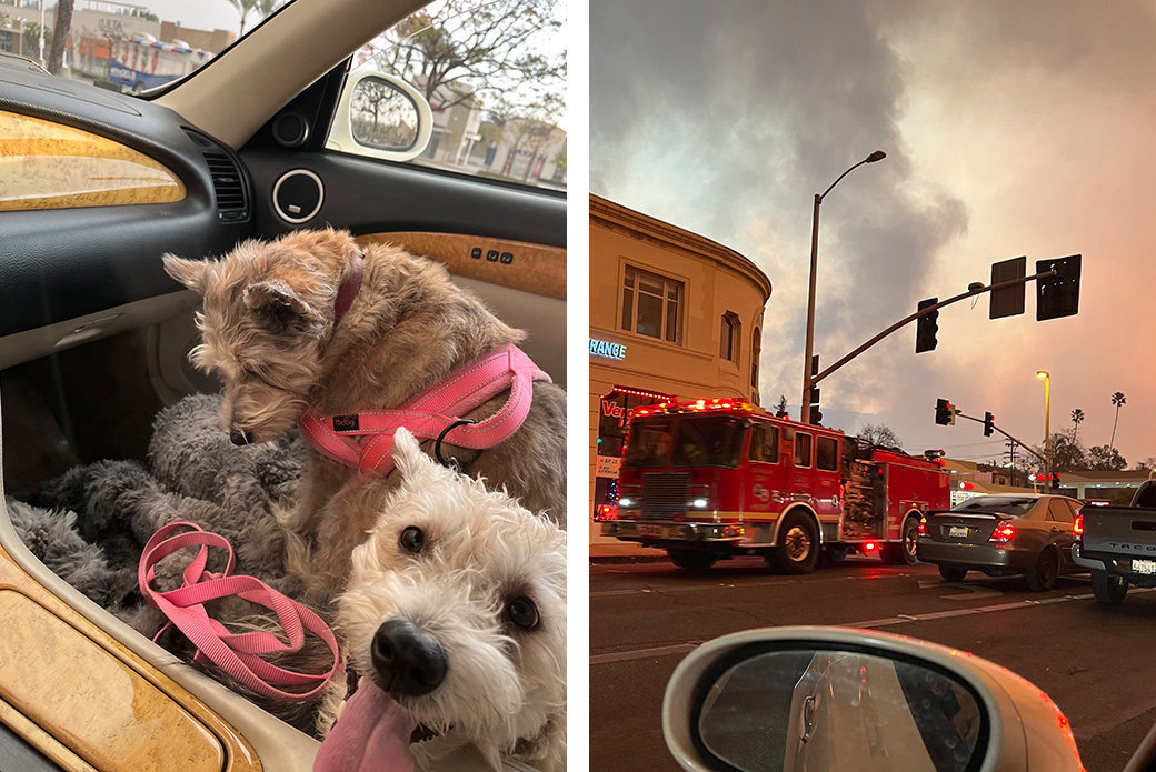 Georgia's dogs (left), firetruck (right)