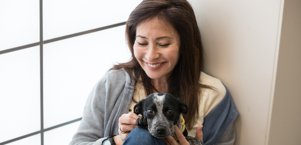 Great News! Charitable Gift Annuity Rates Are Rising! | ASPCA