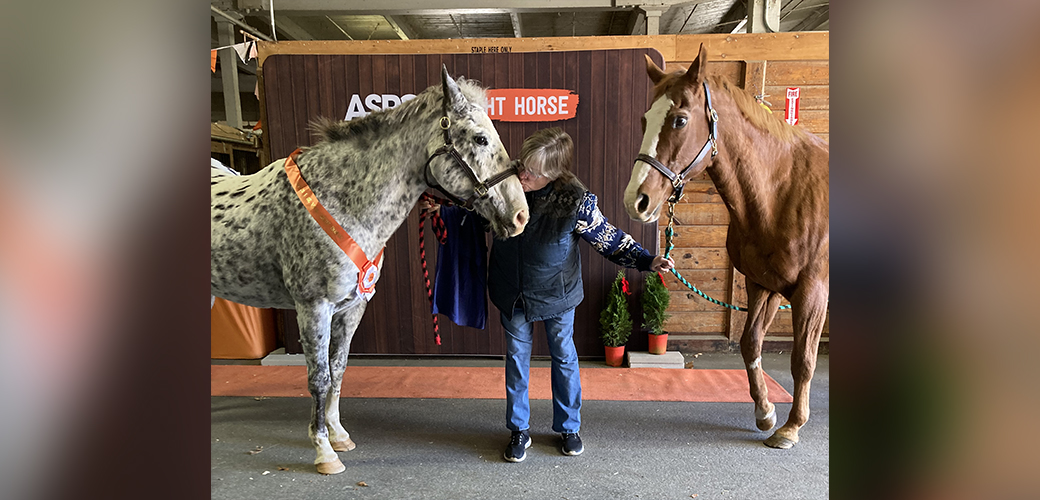 Swiss and Feta at Equine affair