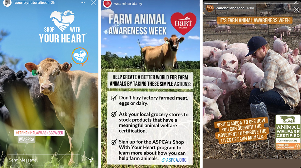 farm animal awareness week social media