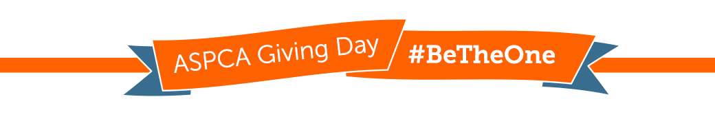 Giving Day Banner