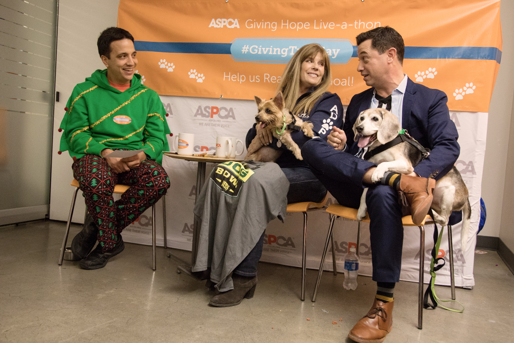  Jill Rappaport and Dan Schachner at the Giving Live-a-thon