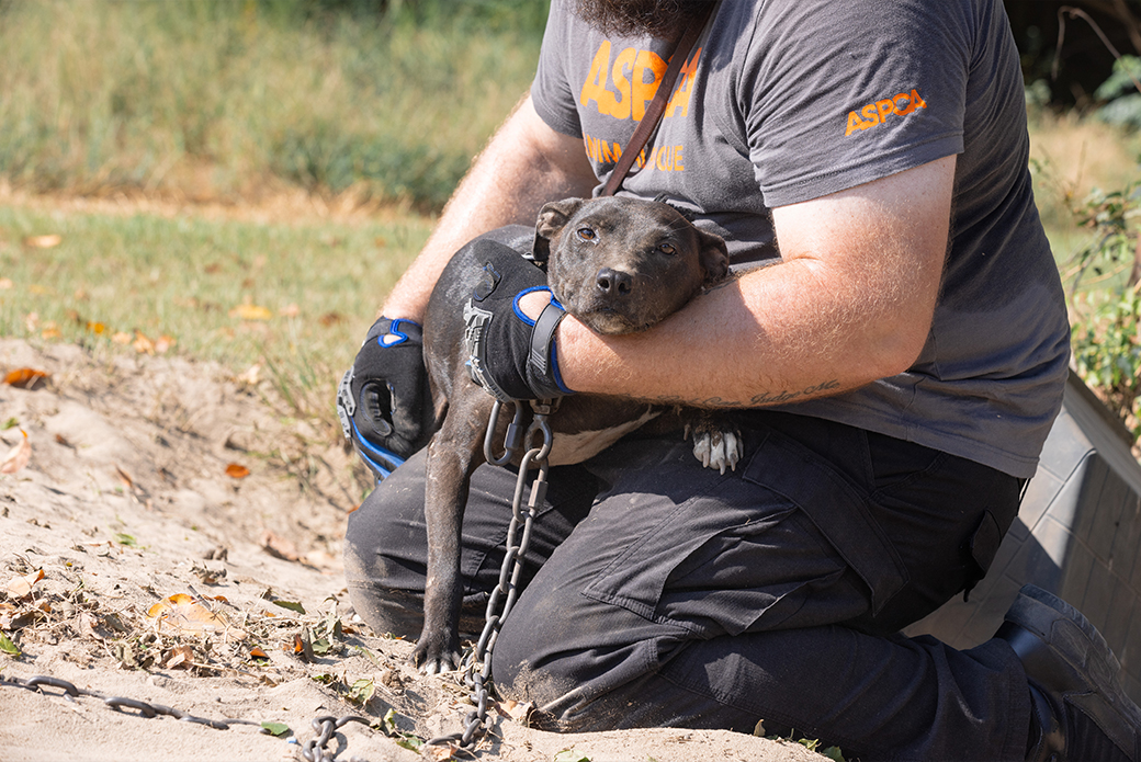 responder holding a chained up dog