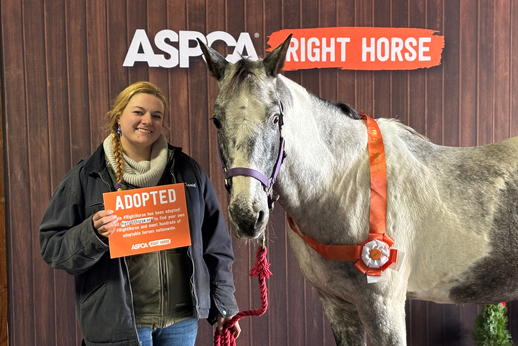 Equine Affaire adopter and her horse