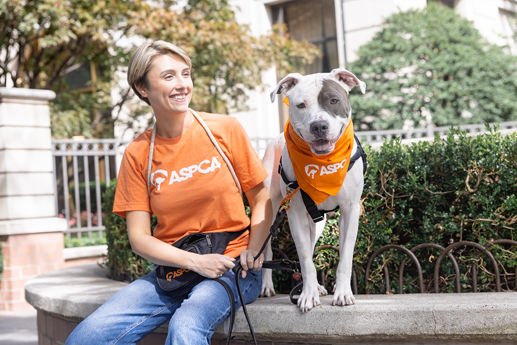 a woman in an orange ASPCA shirt with a dog with an orange ASPCA bandana sitting outside