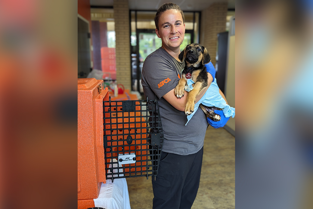 responder with rescued dog