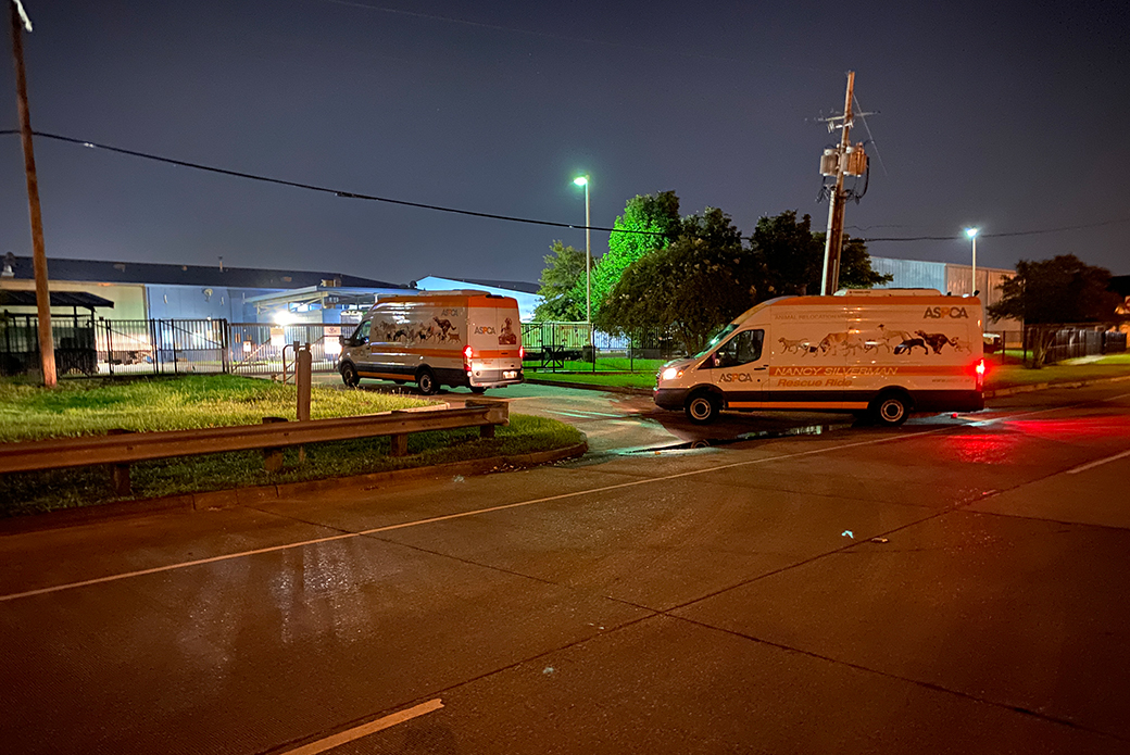 ASPCA transports entering a facility 