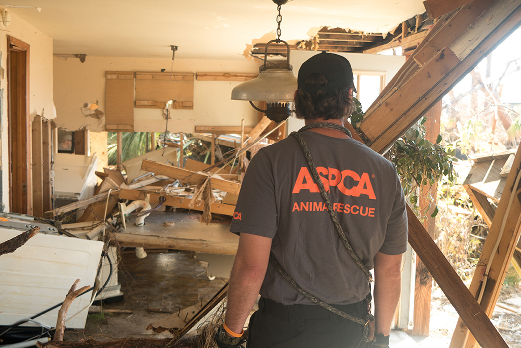 a badly damaged house