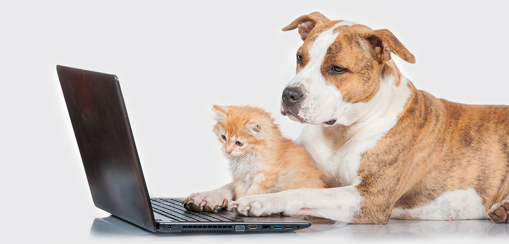 Internet Myths and Rumors: Pet Toxin Edition