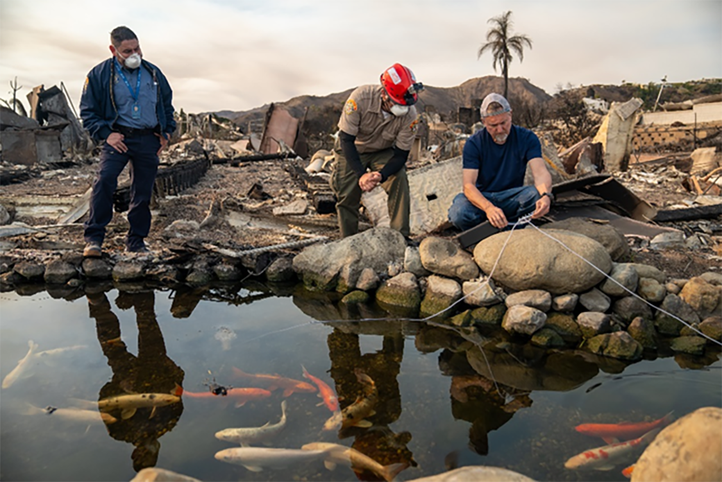 Responders at a koi pond