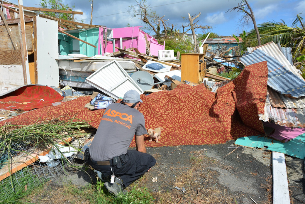 responder near a destroyed home