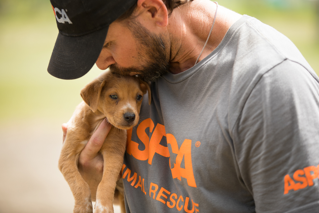 responder kissing a puppy