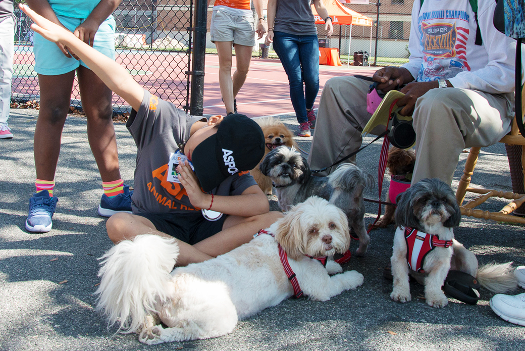 Mateo has some fun with a few local four-legged friends.