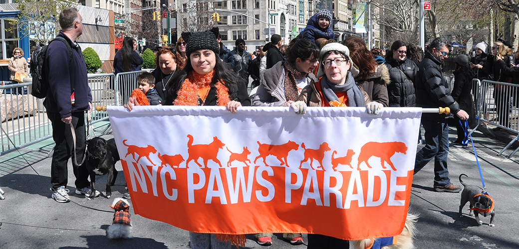 Aspca S Nyc Paws Parade And Adoptapalooza Events Result In 300 Pet Adoptions Aspca