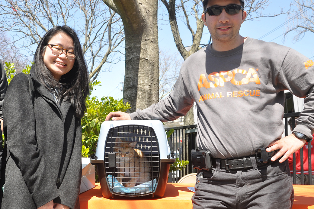 Erica Ly with newly adopted kitten Messner and ASPCA Community Engagement Case Worker, Mohammed Khaled