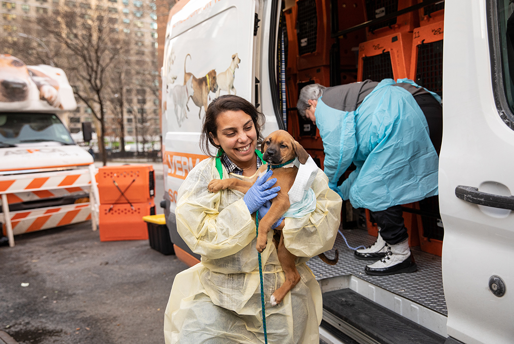 ASPCA staff carrying a puppy