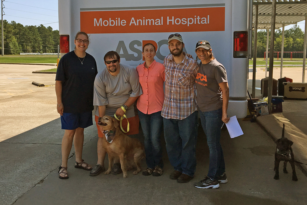 Lady, a 12-year-old golden retriever, being reunited with the Sterling family of Sour Lake 