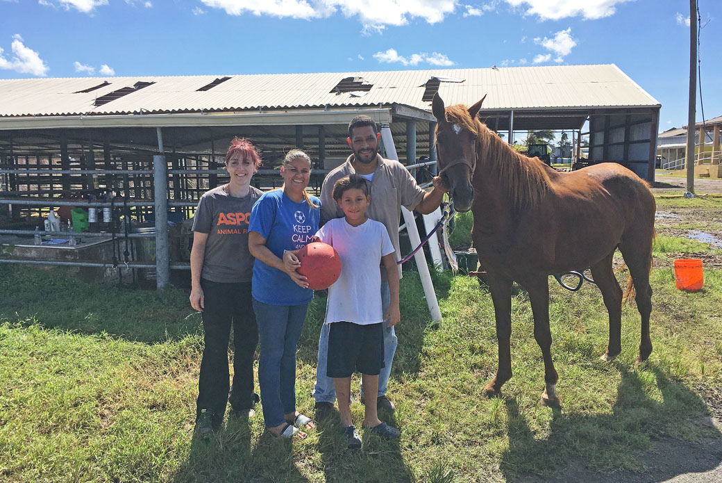 The Abed Family reunited with their horse