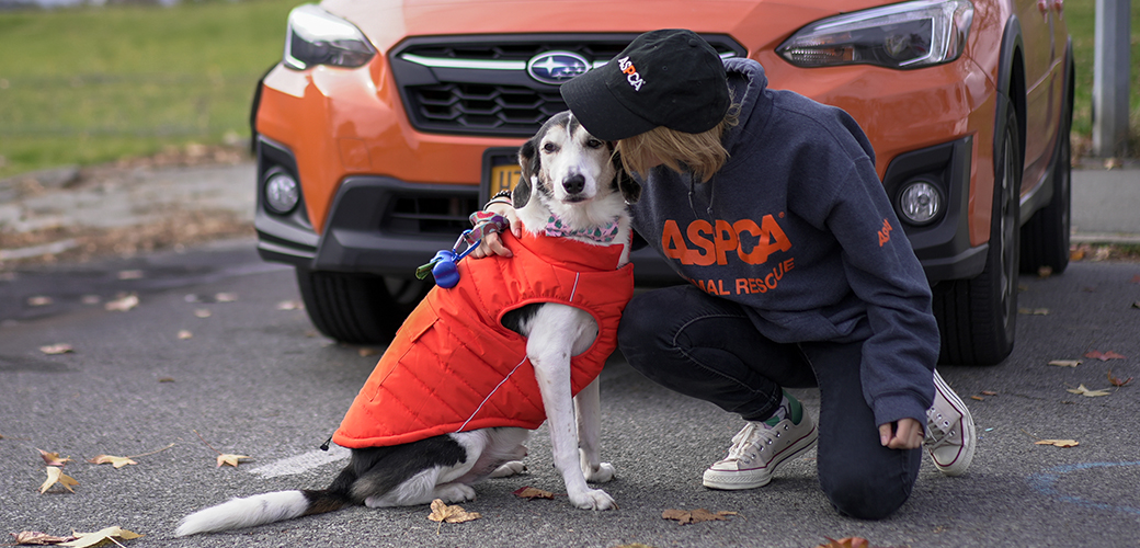 woman in an ASPCA hoodie hugging a dog in front of an orange subaru