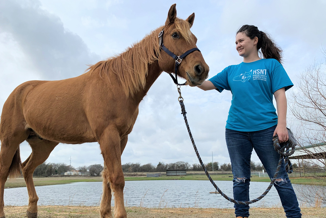 HSNT volunteer with horse