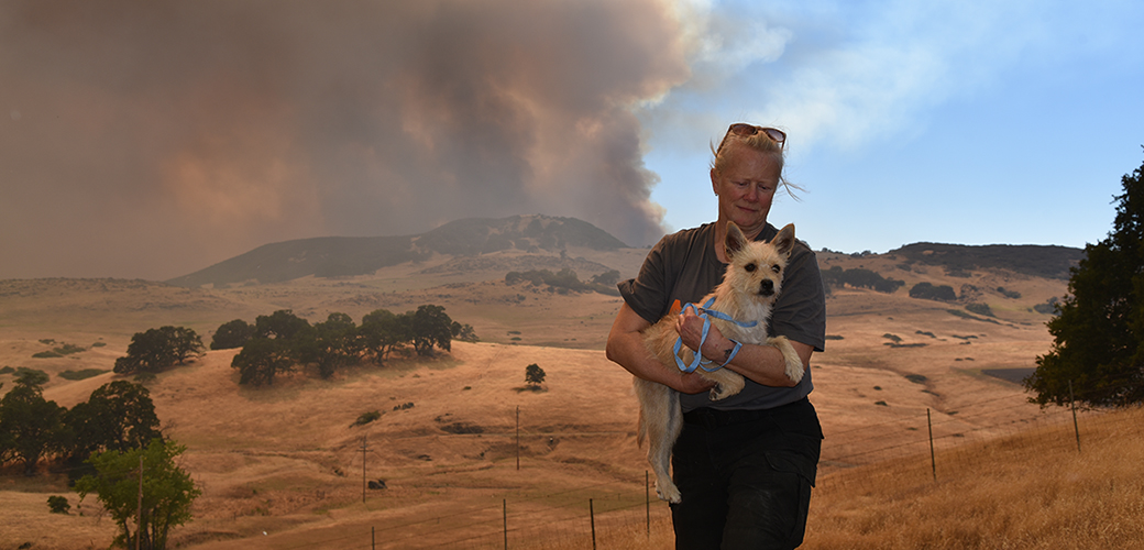responder rescuing a dog from a wildfire