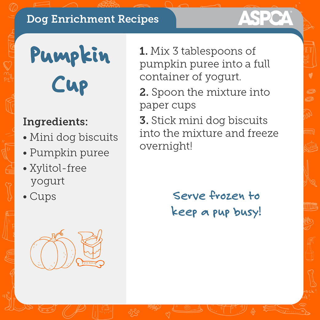 pumpkin cup recipe