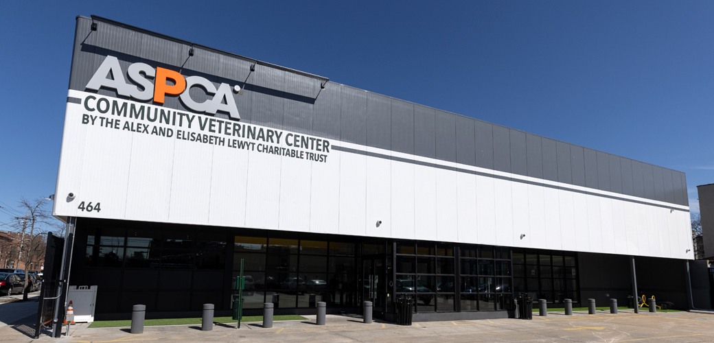 Aspca Brooklyn Community Veterinary Center Cvc Aspca