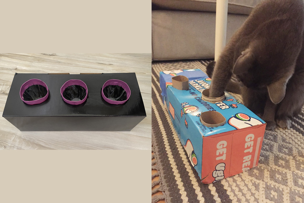 How to Make a Quick Cat Puzzle Toy 