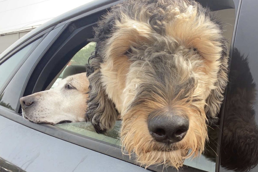 Louie and Big Man in the car