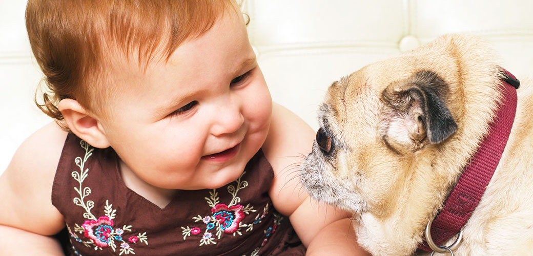 Dog Care Common Dog Behavior Problems Dogs And Babies Main Image 0 